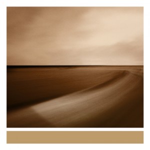 brian-eno-small-craft-on-a-milk-sea-electronica