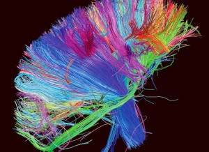 muse-revela-la-portada-de-su-nuevo-disco