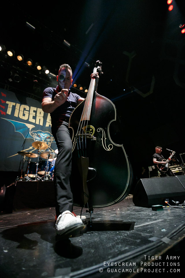 la-primera-vez-de-tiger-army-noticias-resenas-sin-categoria