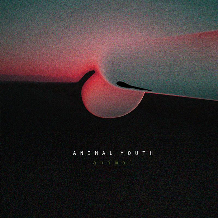 animal-youth-estrena-su-video-feeling-noticias-sin-categoria