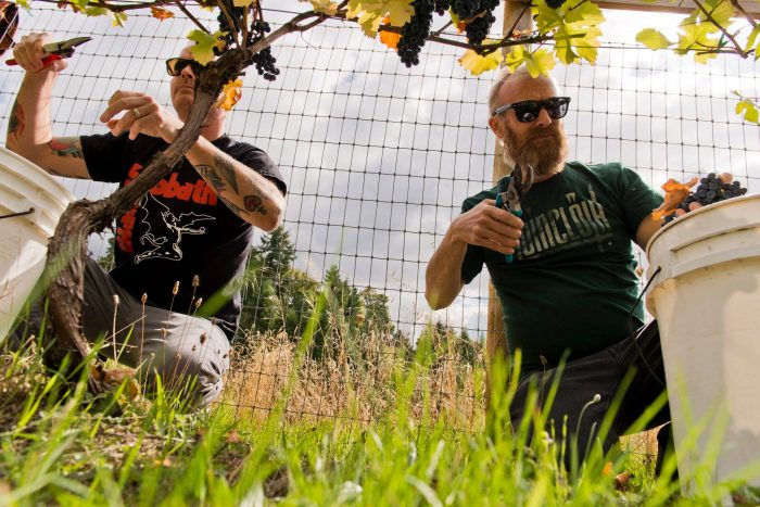 red-fang-estrena-su-lnea-de-vino-noticias-sin-categoria