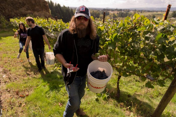 red-fang-estrena-su-lnea-de-vino-noticias-sin-categoria