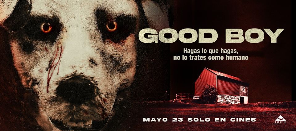 good-boy-cine-cine-tv-noticias-sin-categoria