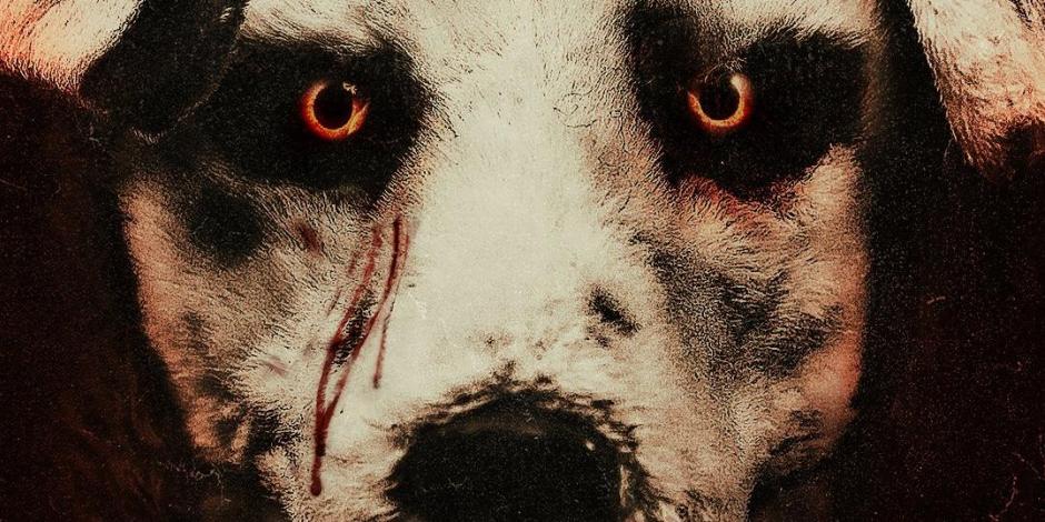 good-boy-cine-cine-tv-noticias-sin-categoria