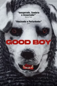 good-boy-cine-cine-tv-noticias-sin-categoria