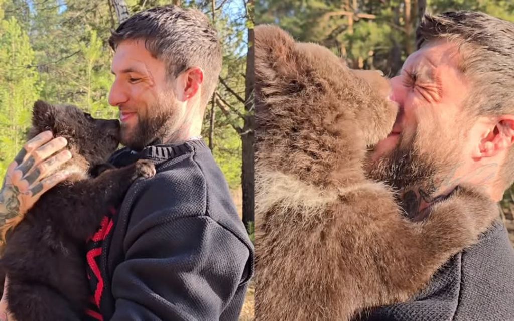 alex-terrible-de-slaughter-to-prevail-adopta-a-dos-cachorros-de-oso-todo-el-dinero-ser-para-ellos-stay-brutal-noticias-sin-categoria
